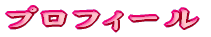 �v���t�B�[��